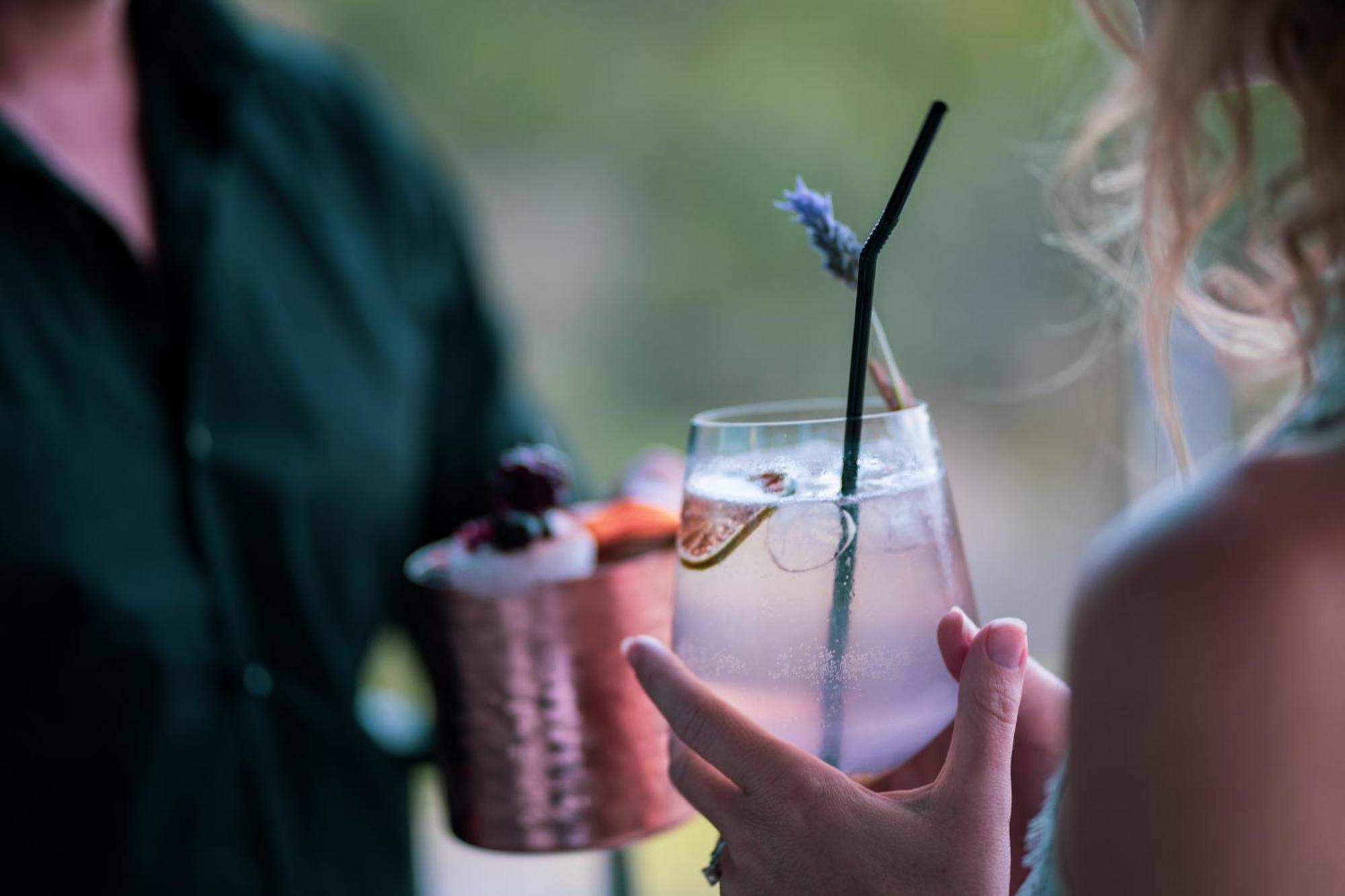 Monchique Resort & Spa Eksteriør billede A lavender cocktail